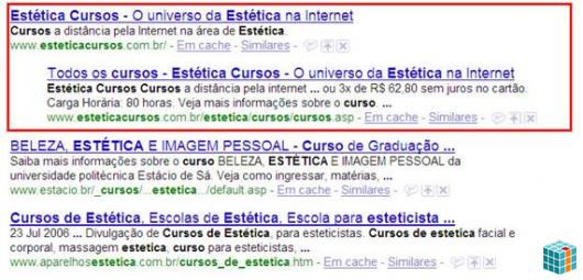 Reputação Digital Serp Domination BH