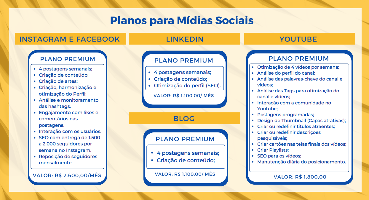 Seo para e-commerce, loja virtual e redes sociais - Plano e valores para mídias sociais - Blog, Linkdin, Youtube, Instagram e Facebook