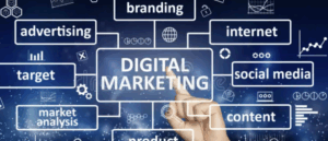 O Que os Especialistas em SEO Acham do Google AI e do Tráfego Orgânico