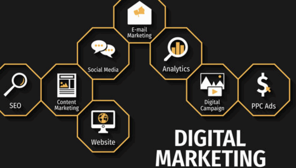 Projeções para o Tráfego Orgânico na Próxima Década com o Google AI (2025-2035)